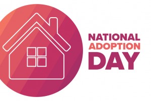 November 23rd is National Adoption Day