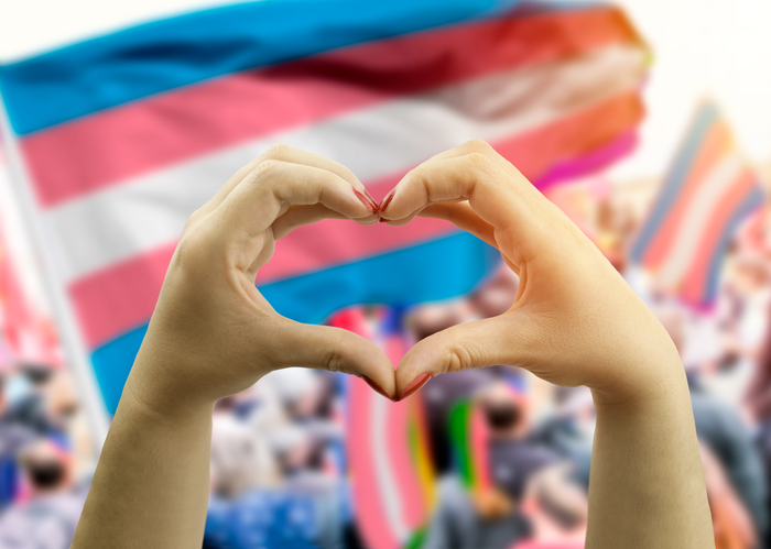 hands making hear shape over transgender flag in background