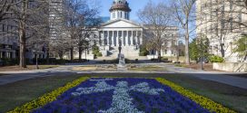NASW South Carolina strongly opposes legislation to repeal social work licensure
