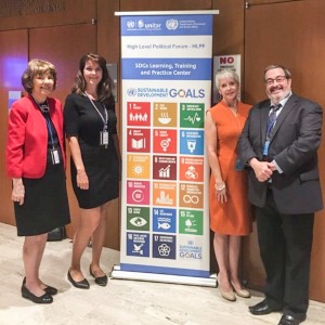 Social workers promote social work's role in promoting the U.N.'s sustainable development goals in New York.