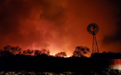Please help Social Workers affected by Texas Panhandle Wildfires