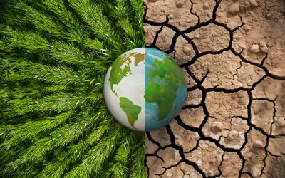 Social Workers Respond to New Climate Change Agenda