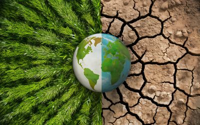Resources from Chats with Chase – Climate Change: How Should Social Work Respond
