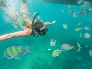  A woman snorkels among tropical fish
