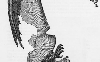 The Texas Redistricting Plan: Far More Serious than a State Political Squabble