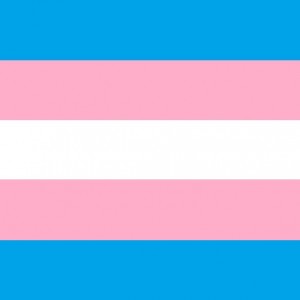 Trans_Pride_Flagsq
