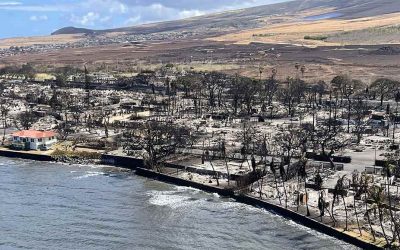 Hawaii Chapter Steps Up to Help After Maui Wildfires